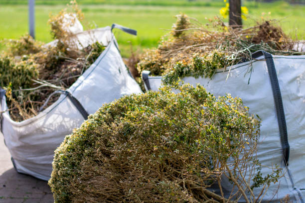 Best Trash Removal Near Me  in Mount Sterling, OH